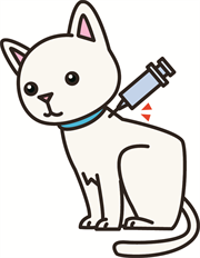 猫の健診  採血