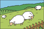 牧場 羊