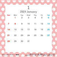 2024年CDカレンダー（キュート）