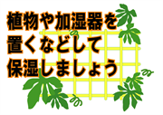 植物や加湿器を置くなどして保湿しましょう