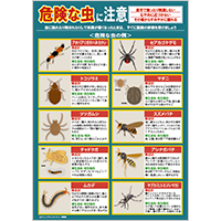 危険な虫に注意
