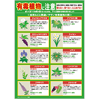 有毒植物に注意