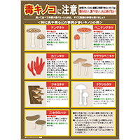 毒キノコに注意１