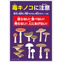 毒キノコに注意２