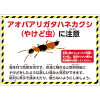 アオバアリガタハネカクシ（やけど虫）に注意