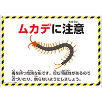 ムカデに注意