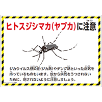 ヒトスジシマカ（ヤブカ）に注意