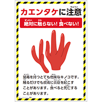 カエンタケに注意
