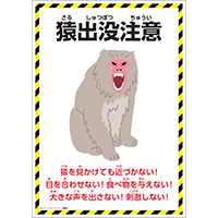 猿出没注意