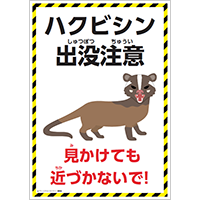 ハクビシン出没注意