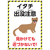 イタチ出没注意