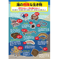 海の危険な生き物