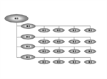 組織チャート