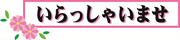 いらっしゃいませ