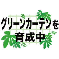 グリーンカーテンを育成中