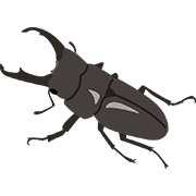 クワガタ
