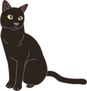 日本猫（黒）