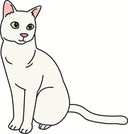 日本猫（白）