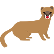 イタチ
