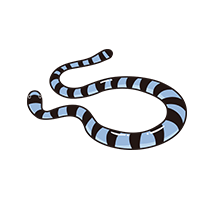 エラブウミヘビ
