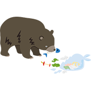 生ごみを食べるクマ