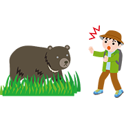野生動物との遭遇