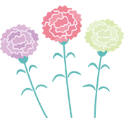 カーネーションの花2