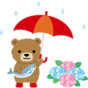 【北海道】ヒグマと鮭 6月（梅雨）