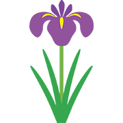 菖蒲の花