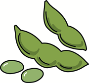 枝豆