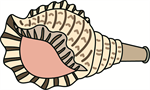 法螺貝（ほら貝）