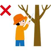 キャンプサイトの木は切らない