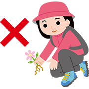 植物や石を採取しない
