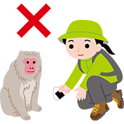 動物にエサを与えない