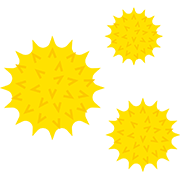 花粉の拡大図（ブタクサ）