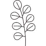 線画の植物