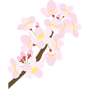桜（枝つき）