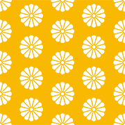 菊（きく）