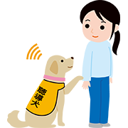 聴導犬と人