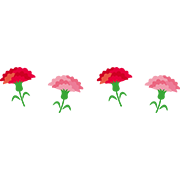 カーネーション