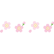 桜の花と花びら