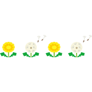 タンポポの花と綿毛