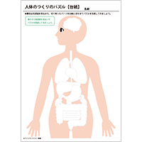 人体のつくりのパズル