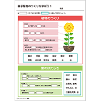 被子植物のつくりを学ぼう 1