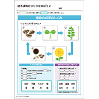 被子植物のつくりを学ぼう 2
